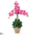 Silk Plants Direct Triple Stem Phalaenopsis Silk Orchid Arrangement - Dark Pink - Pack of 1