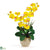 Silk Plants Direct Double Stem Phalaenopsis Silk Orchid Arrangement - Yellow - Pack of 1