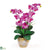 Silk Plants Direct Double Stem Phalaenopsis Silk Orchid Arrangement - Orchid - Pack of 1