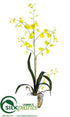 Silk Plants Direct Oncidium Orchid - Yellow - Pack of 1