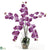 Silk Plants Direct Phalaenopsis Liquid Illusion - Mauve - Pack of 1