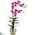 Silk Plants Direct Dendrobium - Purple - Pack of 1