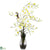 Silk Plants Direct Dendrobium - Cream - Pack of 1