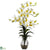 Silk Plants Direct Dendrobium Orchid - Cream - Pack of 1