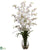 Silk Plants Direct Dancing Lady Orchid - White - Pack of 1