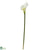 Silk Plants Direct Calla Lilly - Cream - Pack of 1