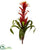 Silk Plants Direct Bromeliad Plant Artificial Flower - Pack of 1