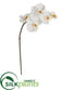 Silk Plants Direct Phalaenopsis Orchid Artificial Flower - White - Pack of 12