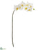 Silk Plants Direct Phalaenopsis Orchid Artificial Flower - White - Pack of 6