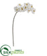 Silk Plants Direct Phalaenopsis Orchid Artificial Flower - White - Pack of 6