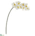 Silk Plants Direct Phalaenopsis Orchid Artificial Flower - White - Pack of 6