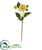 Silk Plants Direct Dahlia Artificial Flower - Green - Pack of 6