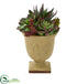 Silk Plants Direct Mixed Succulent Artificial Plant - Pack of 1