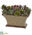 Silk Plants Direct Mixed Succulent Artificial Plant - Pack of 1