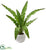 Silk Plants Direct Birds nest Artificial Plant - Pack of 1