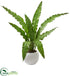 Silk Plants Direct Birds nest Artificial Plant - Pack of 1