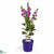 Silk Plants Direct Mallow - Lavender - Pack of 1