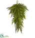 Silk Plants Direct Fern Artificial Teardrop - Pack of 1