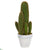 Silk Plants Direct Cactus Succulent Artificial Plant - Pack of 1