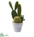 Silk Plants Direct Cactus Artificial Plant - Pack of 1