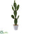 Silk Plants Direct Cactus Artificial Plant - Pack of 1