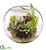 Silk Plants Direct Mix Succulent Garden - Pack of 1