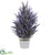 Silk Plants Direct Lavender - Pack of 1