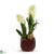 Silk Plants Direct Hyacinth - White - Pack of 1