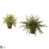 Silk Plants Direct Fern - Pack of 1