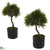 Silk Plants Direct Cedar Bonsai - Pack of 1