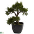 Silk Plants Direct Cedar Bonsai - Pack of 1