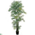 Silk Plants Direct Areca Silk Palm Tree - Green - Pack of 1