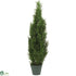 Silk Plants Direct Cedar Tree - Green - Pack of 1