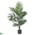 Silk Plants Direct Kentia Palm - Green - Pack of 1