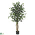 Silk Plants Direct Ficus - Green - Pack of 1