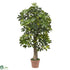 Silk Plants Direct Schefflera - Green - Pack of 1