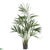 Silk Plants Direct Kentia Palm - Green - Pack of 1