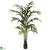 Silk Plants Direct Kentia Palm Tree - Pack of 1