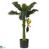 Silk Plants Direct Banana Tree - Pack of 1