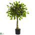 Silk Plants Direct Ficus - Pack of 1