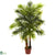 Silk Plants Direct Areca Palm Tree - Pack of 1