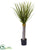 Silk Plants Direct Yucca Tree - Pack of 1