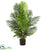 Silk Plants Direct Paradise Palm Artificial Tree - Pack of 1