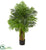 Silk Plants Direct Kentia Palm Artificial Tree - Pack of 1