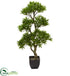 Silk Plants Direct Bonsai Styled Podocarpus Artificial Tree - Pack of 1