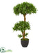 Silk Plants Direct Bonsai Styled Podocarpus Artificial Tree - Pack of 1