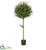 Silk Plants Direct Olive Topiary Artificial Tree - Pack of 1