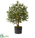 Silk Plants Direct Olive Artificial Tree - Pack of 1