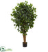 Silk Plants Direct Ficus Artificial Tree - Pack of 1