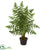 Silk Plants Direct Ruffle Fern Artificial Palm Tree - Pack of 1